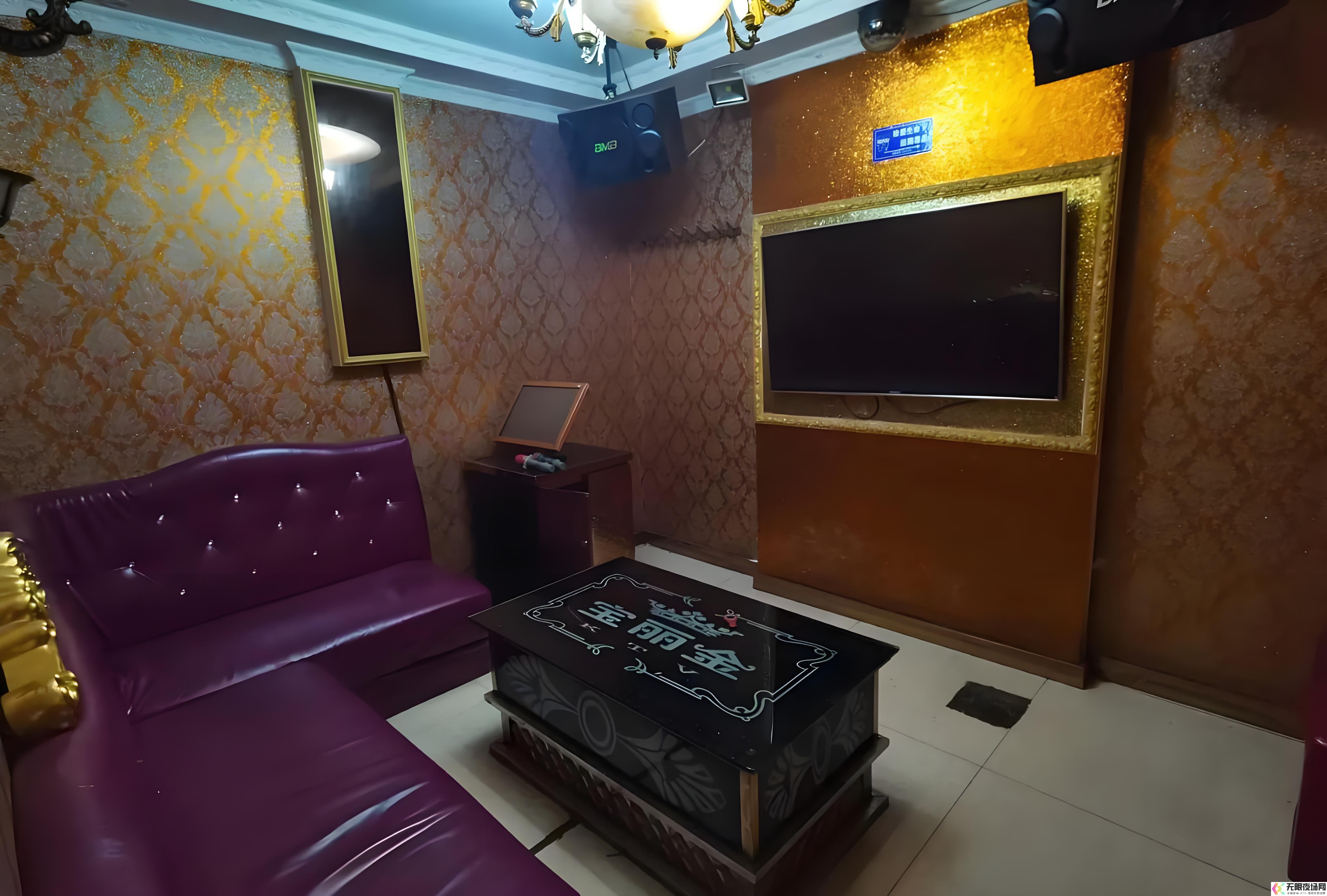 深圳夜总会体验指南：享受夜生活的精彩瞬间